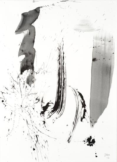 2-2012 splash 105x75 chf 3200.jpg